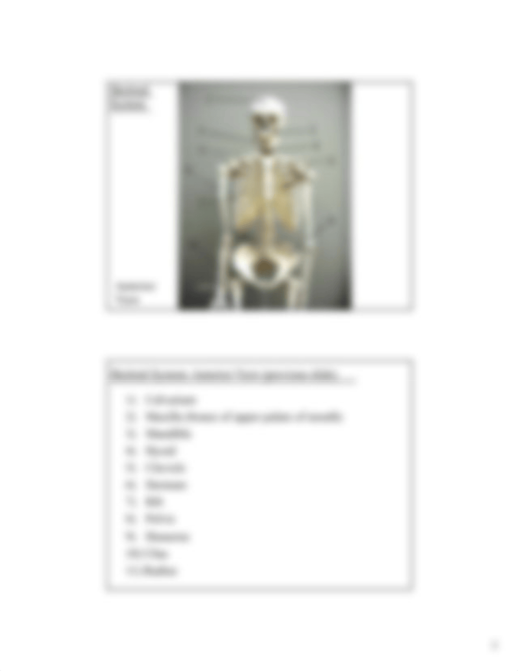 BIOL 2401 Lab - Organ System Survey - HGolden.pdf_dor3dt17qj4_page3