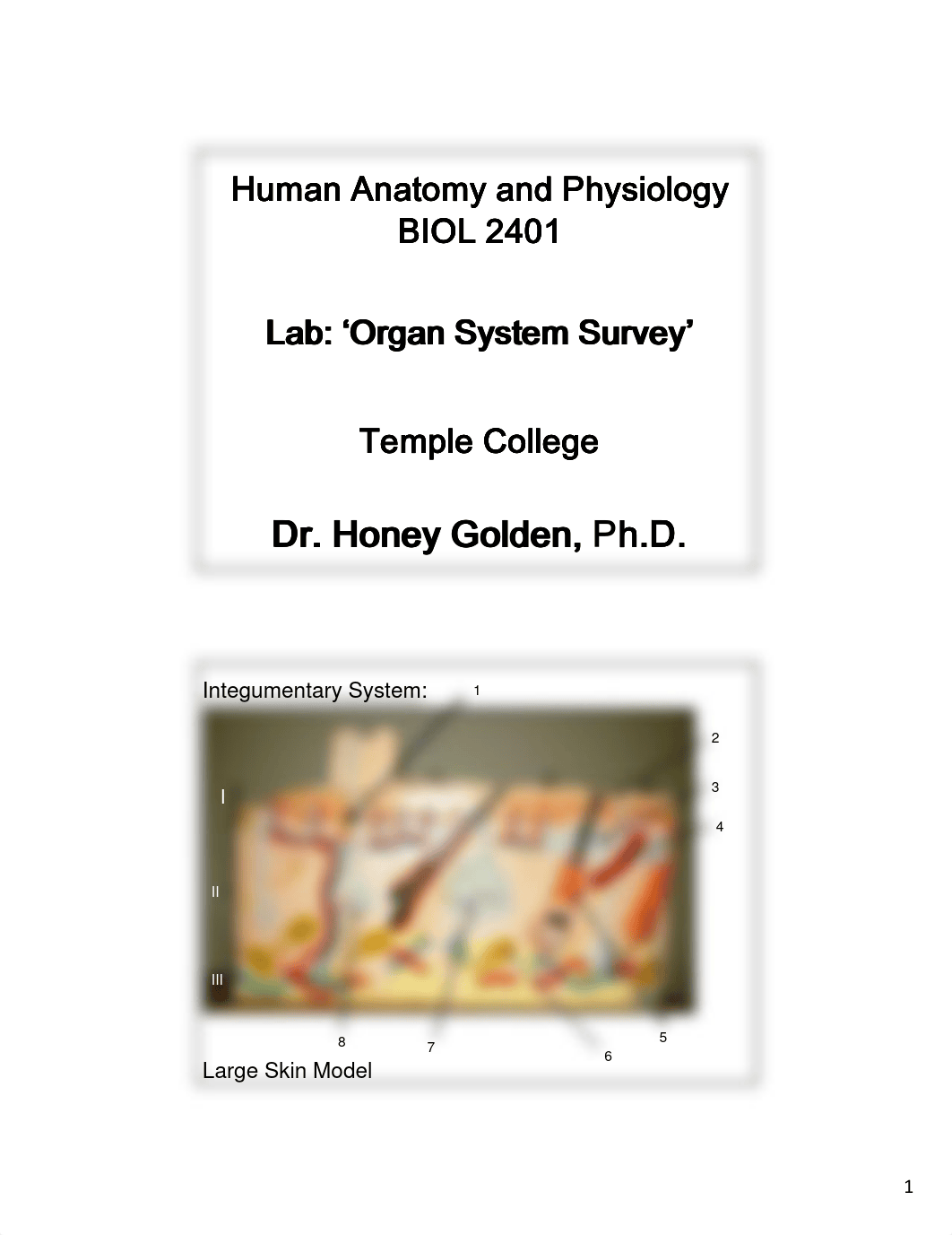 BIOL 2401 Lab - Organ System Survey - HGolden.pdf_dor3dt17qj4_page1