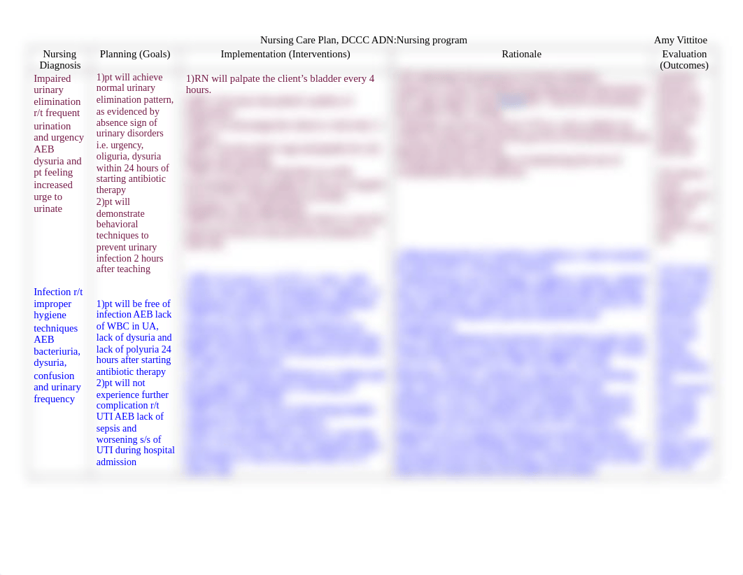 Care plan UTI clinical makeup(1).docx_dor5a16ec9n_page1