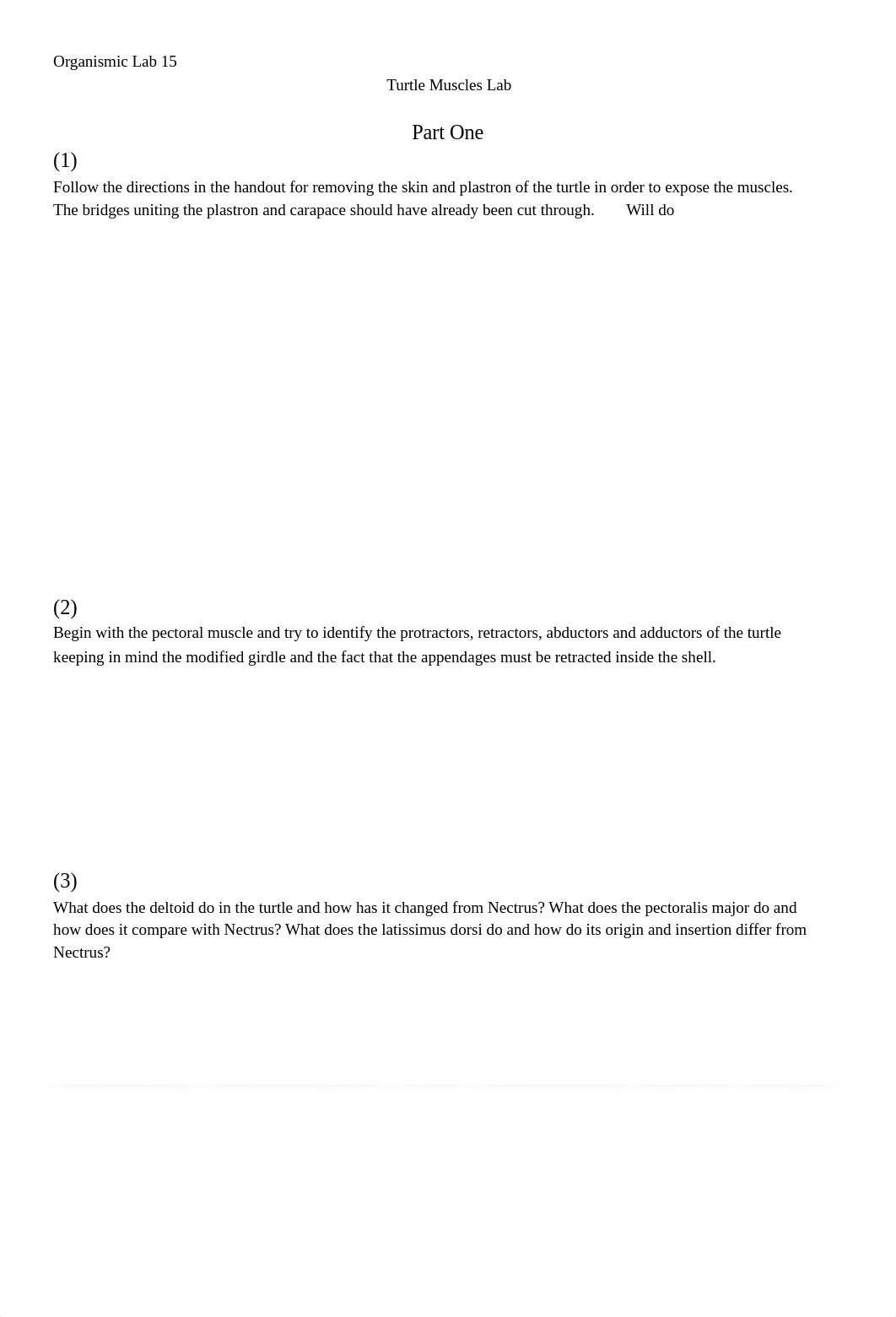 Organismic Lab 15_doral3jq1h5_page1