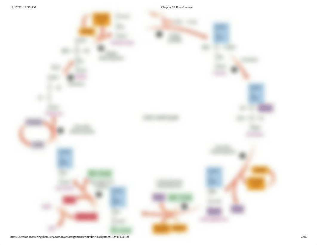 Chapter 23 Post-Lecture.pdf_dorbshc1opp_page2