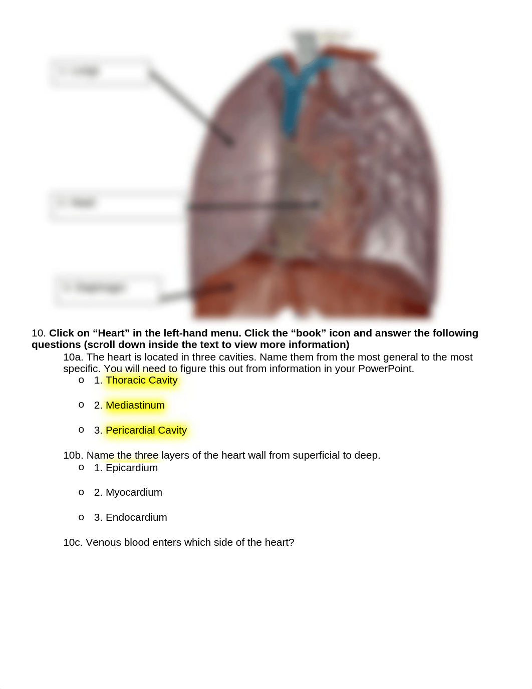 Lab 2 Online Lab Activity YTC Complete.docx_dorfbbpopj1_page2