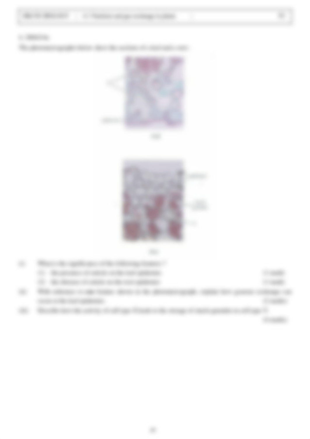 bio 4.1_dorydqmh03d_page3