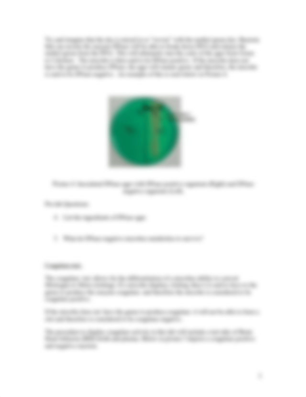 Chapter 11 - Biochemical Analysis of Gram Positive Bacteria_dos3f9yamfg_page3