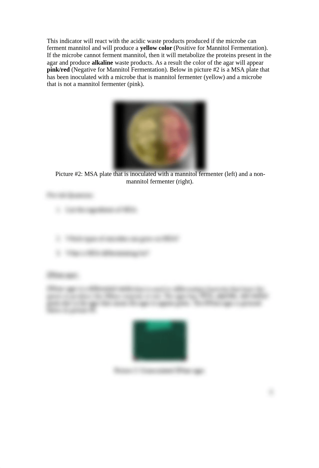 Chapter 11 - Biochemical Analysis of Gram Positive Bacteria_dos3f9yamfg_page2