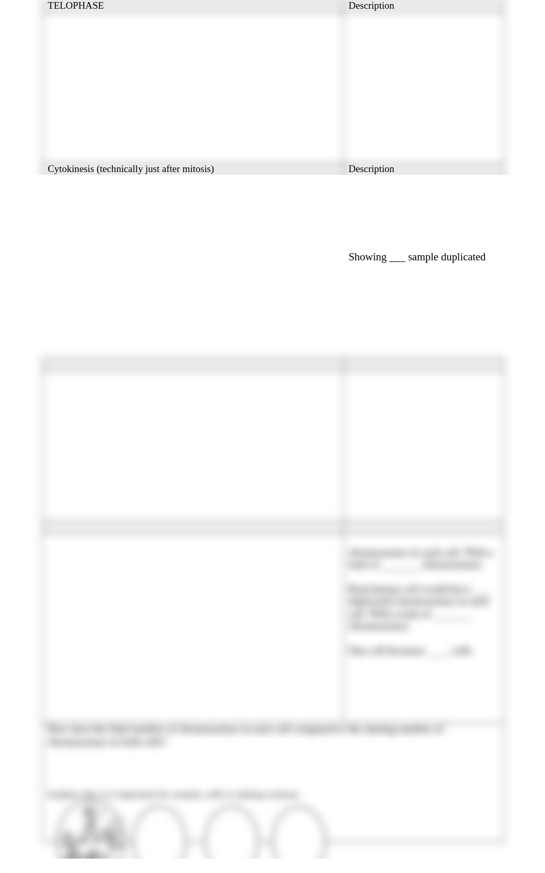 Drawing Mitosis and Notes on Mitosis  (1).docx_dos82xw9nul_page2