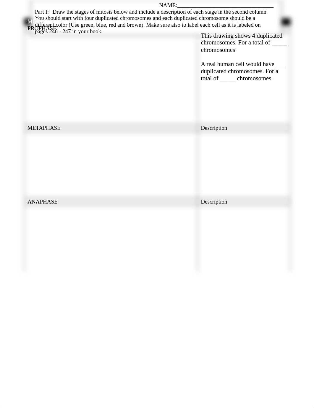 Drawing Mitosis and Notes on Mitosis  (1).docx_dos82xw9nul_page1