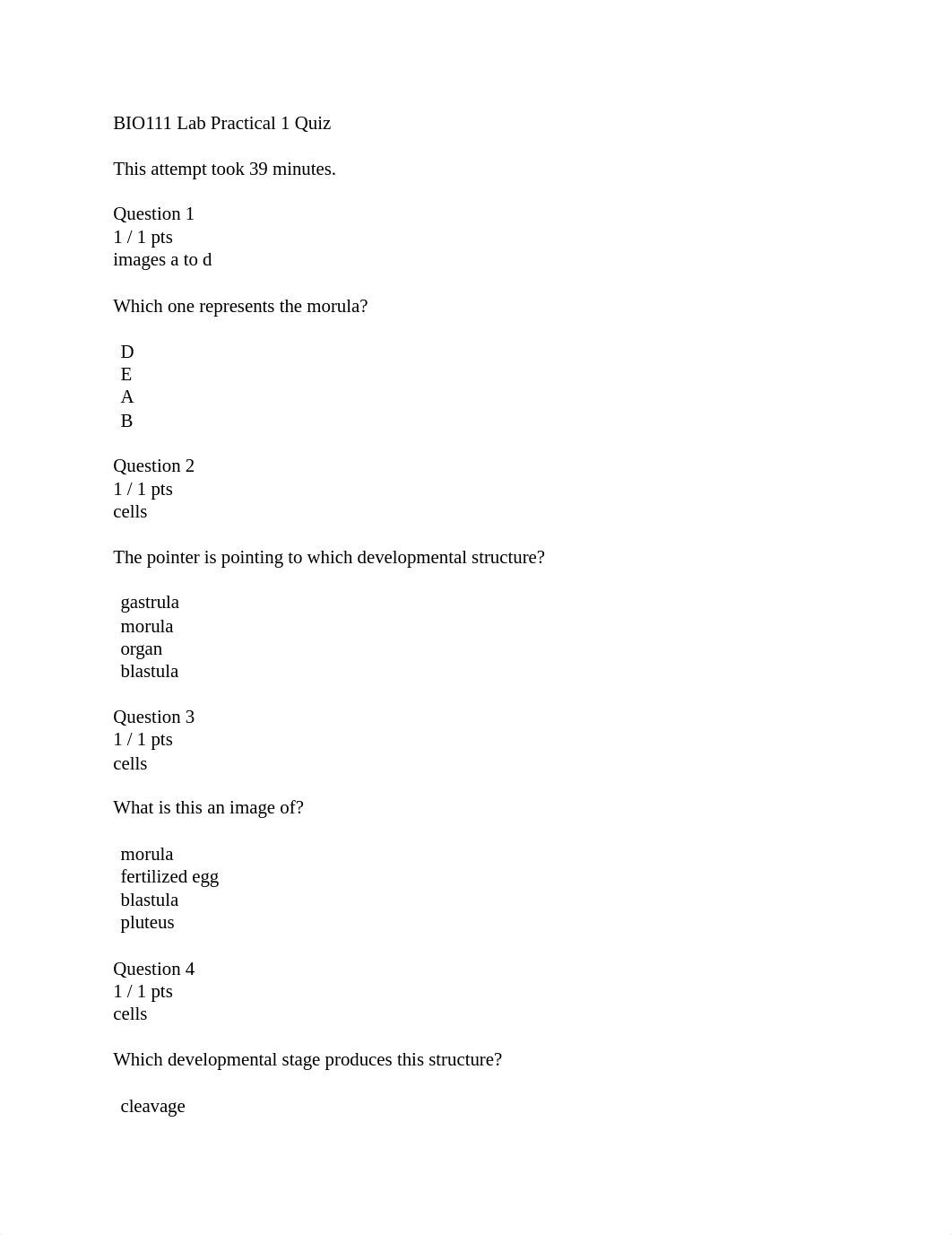 BIO111_LabPractical1.docx_dos831qgyq2_page1