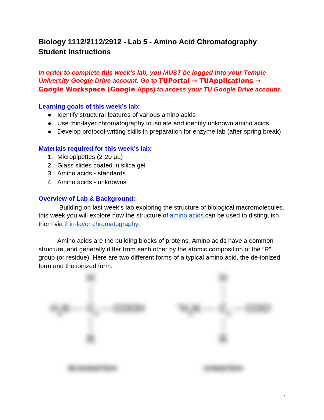 Lab 5- In Class.docx_dosd7u0oxup_page1