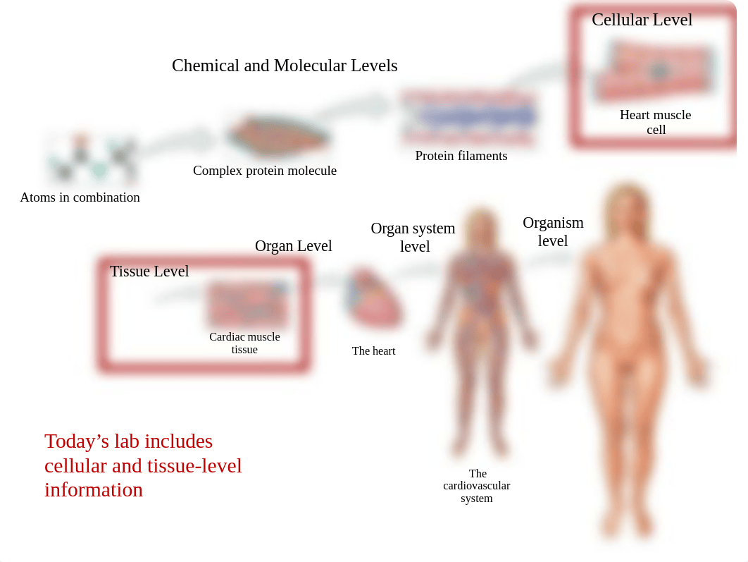 Lab Quiz 1.pdf_dosi3ia7hf9_page5