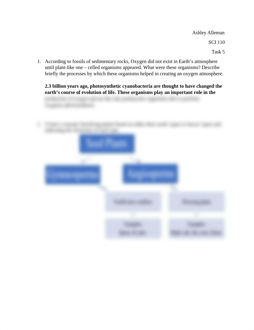 Task 5.docx_dosjc4fqabz_page1