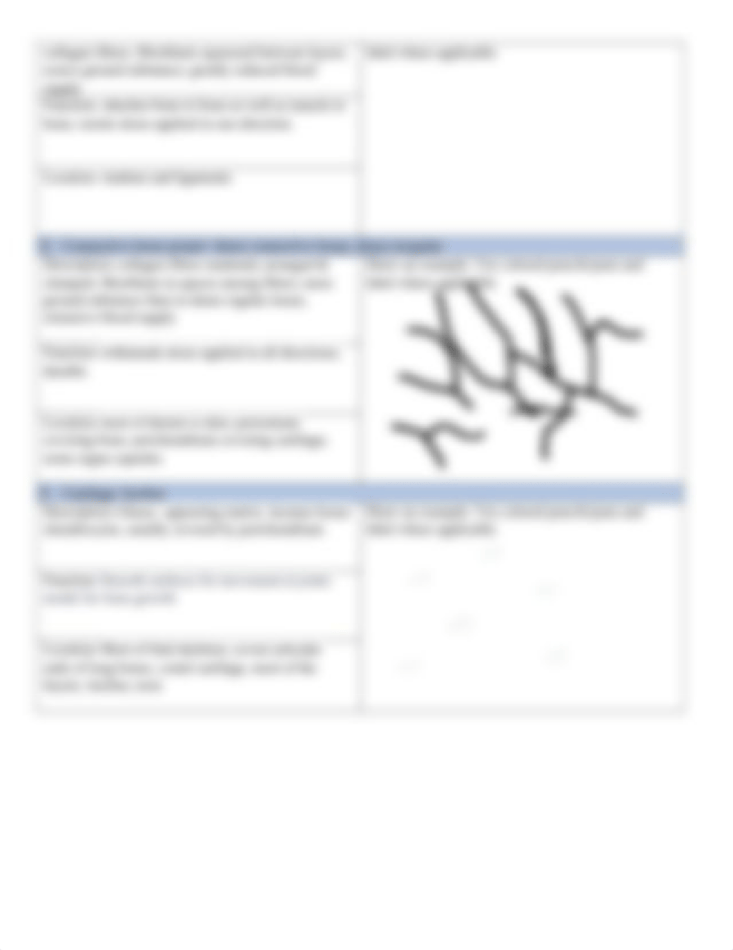 Connective Tissue Lab Online.docx_dosjq1xagsv_page2