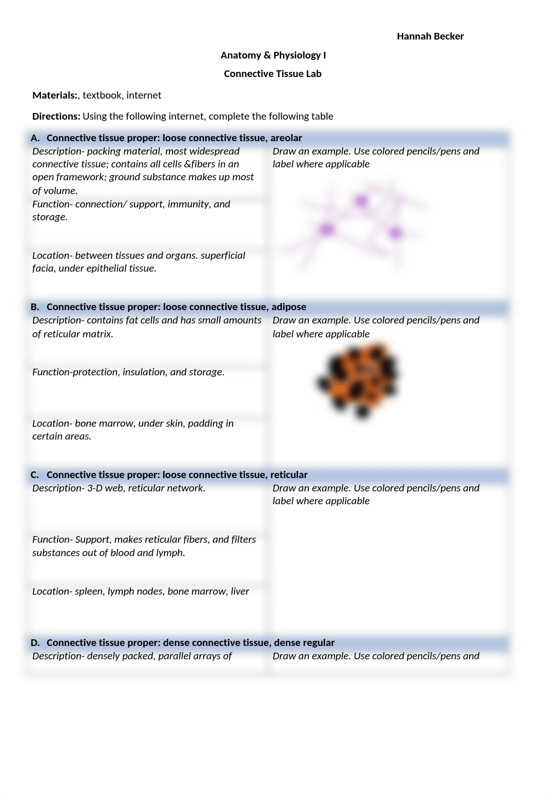 Connective Tissue Lab Online.docx_dosjq1xagsv_page1