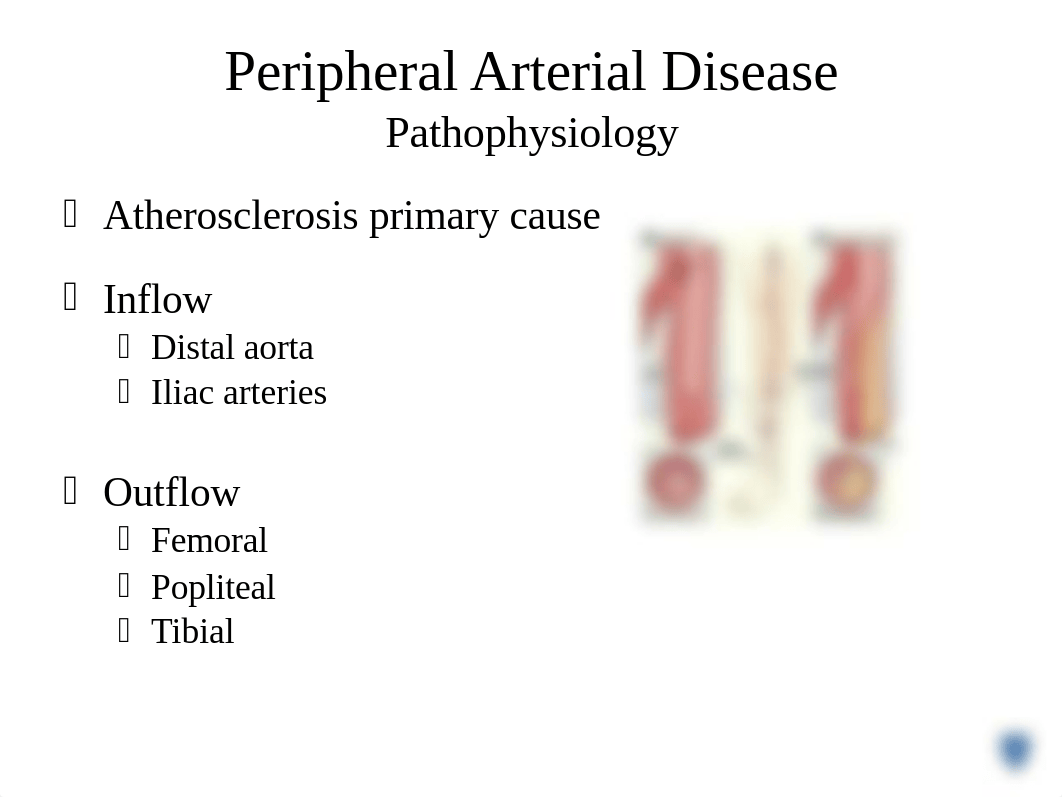 Coronary perfusion, ACS, Rhythms and Dysrhythmias PLUS Periph Vasc Dz_student notes_doskflqz4wl_page5