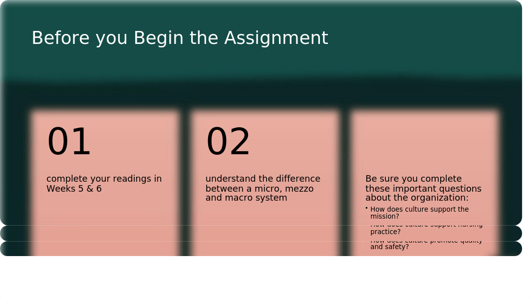 NSG 521 Assignment 4_7.28.2020 (2).pptx_dosmpyj9ohd_page3