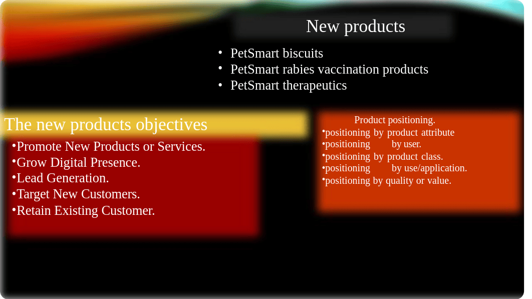 Branding Presentation (1).pptx_dosnt0vd5s0_page3