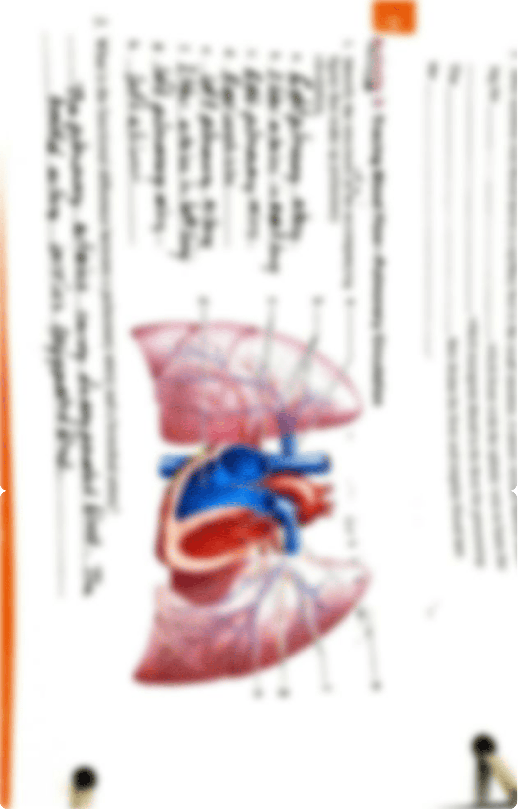 Post-Lab Unit 23.pdf_dosrcrr6gsy_page2