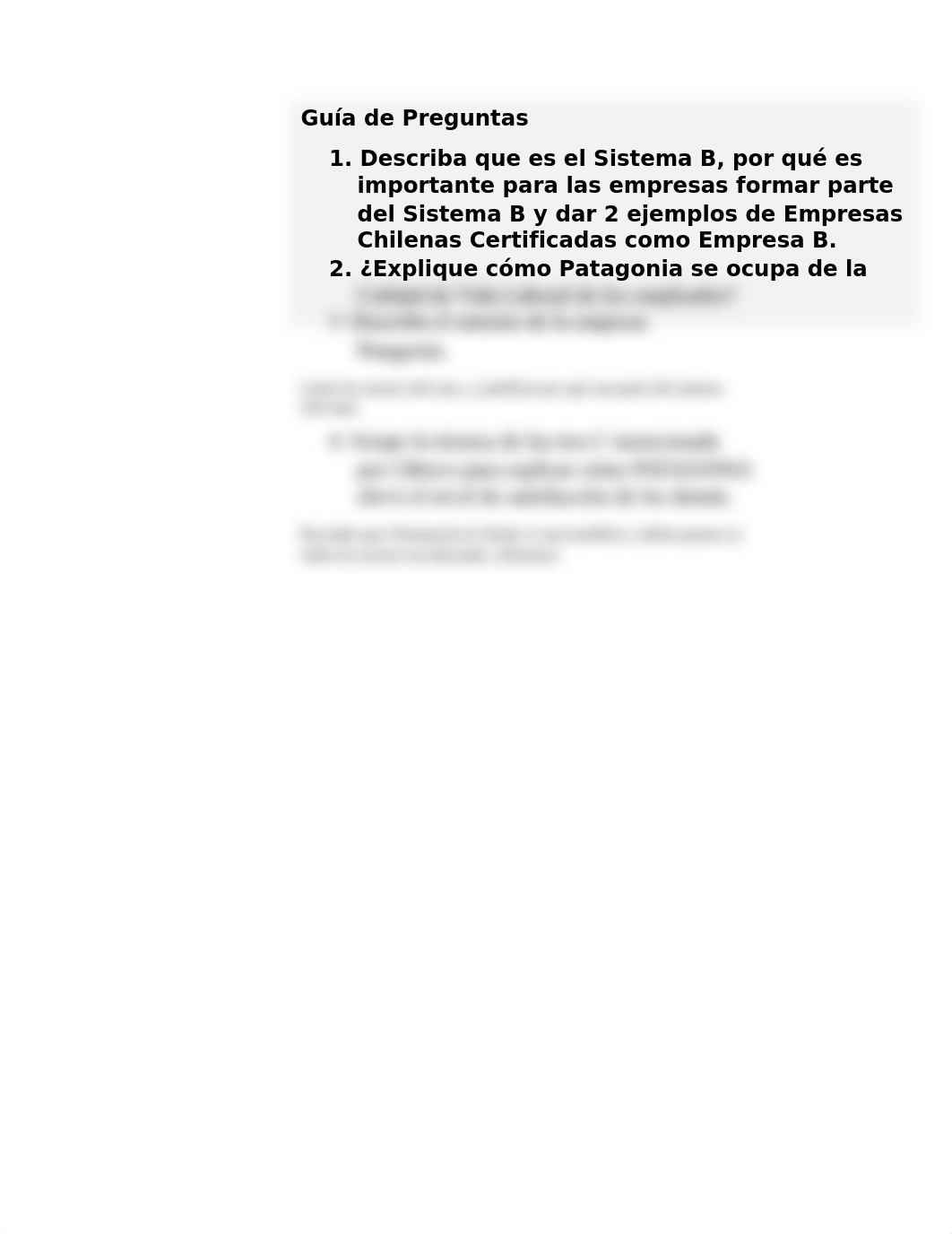 02_Caso Patagonia_Guía (1).docx_dosya0awpql_page2