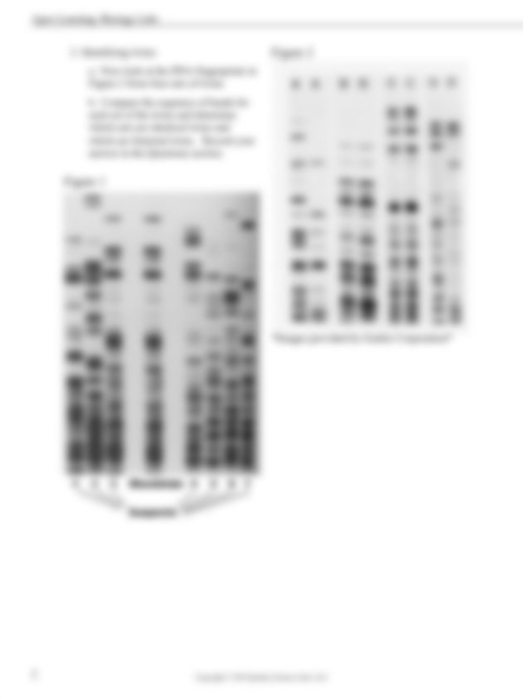 Sarah Dowell - 1.4.3 Lab: DNA Fingerprinting.pdf_dotlhmk3gqx_page2