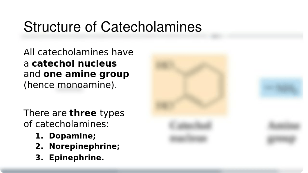 Lecture 4 - Catecholamines.pptx_dott3oq2tmn_page3