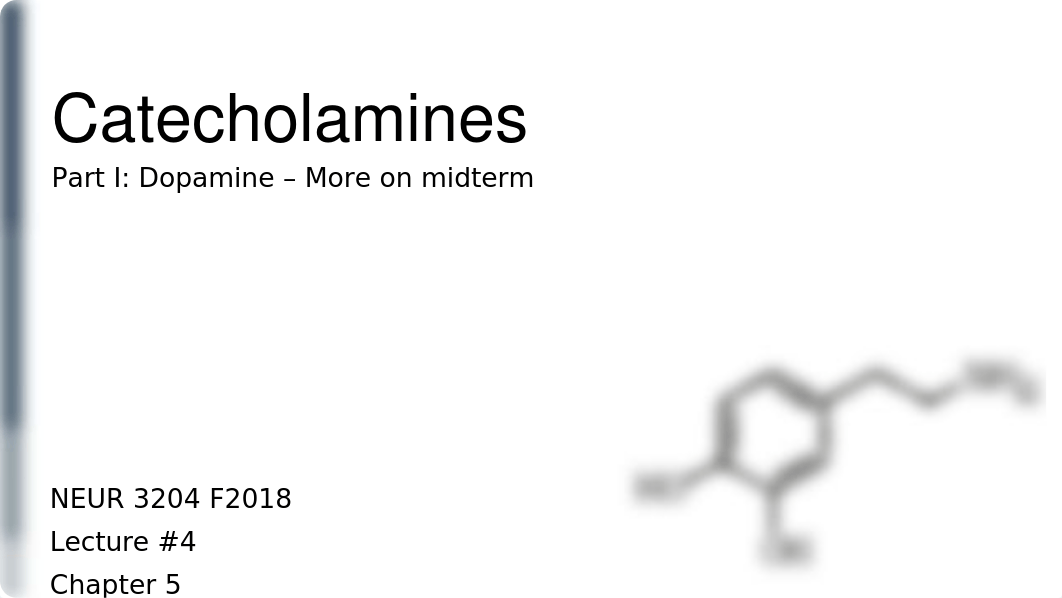 Lecture 4 - Catecholamines.pptx_dott3oq2tmn_page1