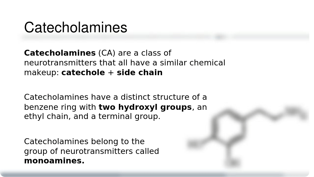 Lecture 4 - Catecholamines.pptx_dott3oq2tmn_page2