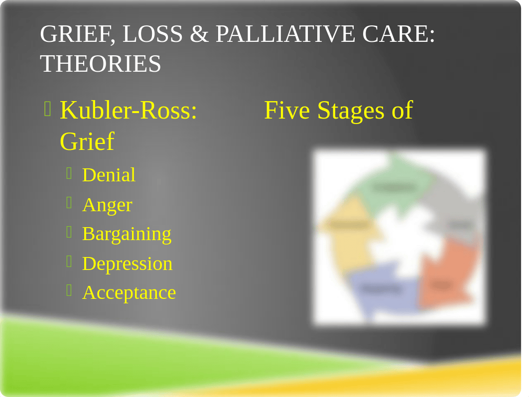 Grief, Loss and Palliative Care.pptx_dou0g7fzvg4_page4