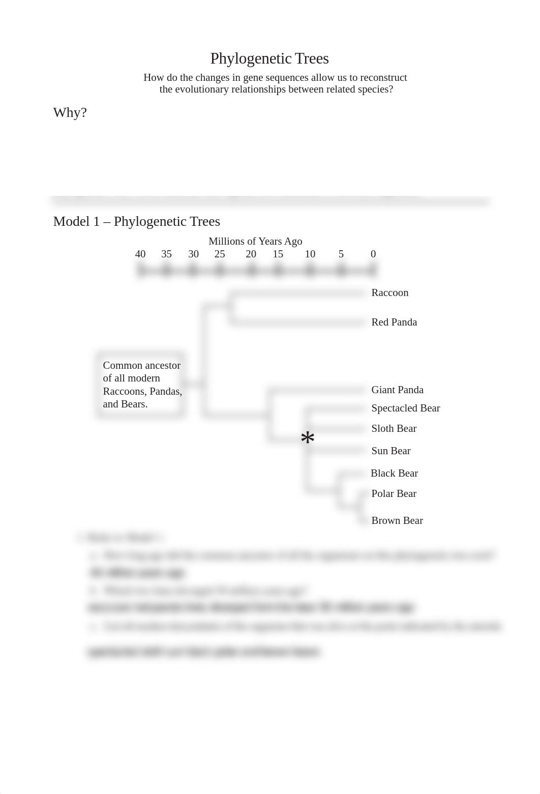 ZACKARY DIERKS - 2020 Phylogenetic Trees PG SRT.pdf_dou1idr2rix_page1