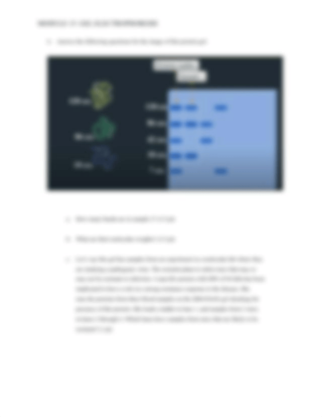 Worksheet - Gel Electrophoresis.pdf_dou1n0oruiv_page2