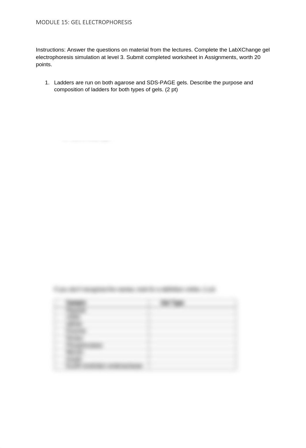 Worksheet - Gel Electrophoresis.pdf_dou1n0oruiv_page1