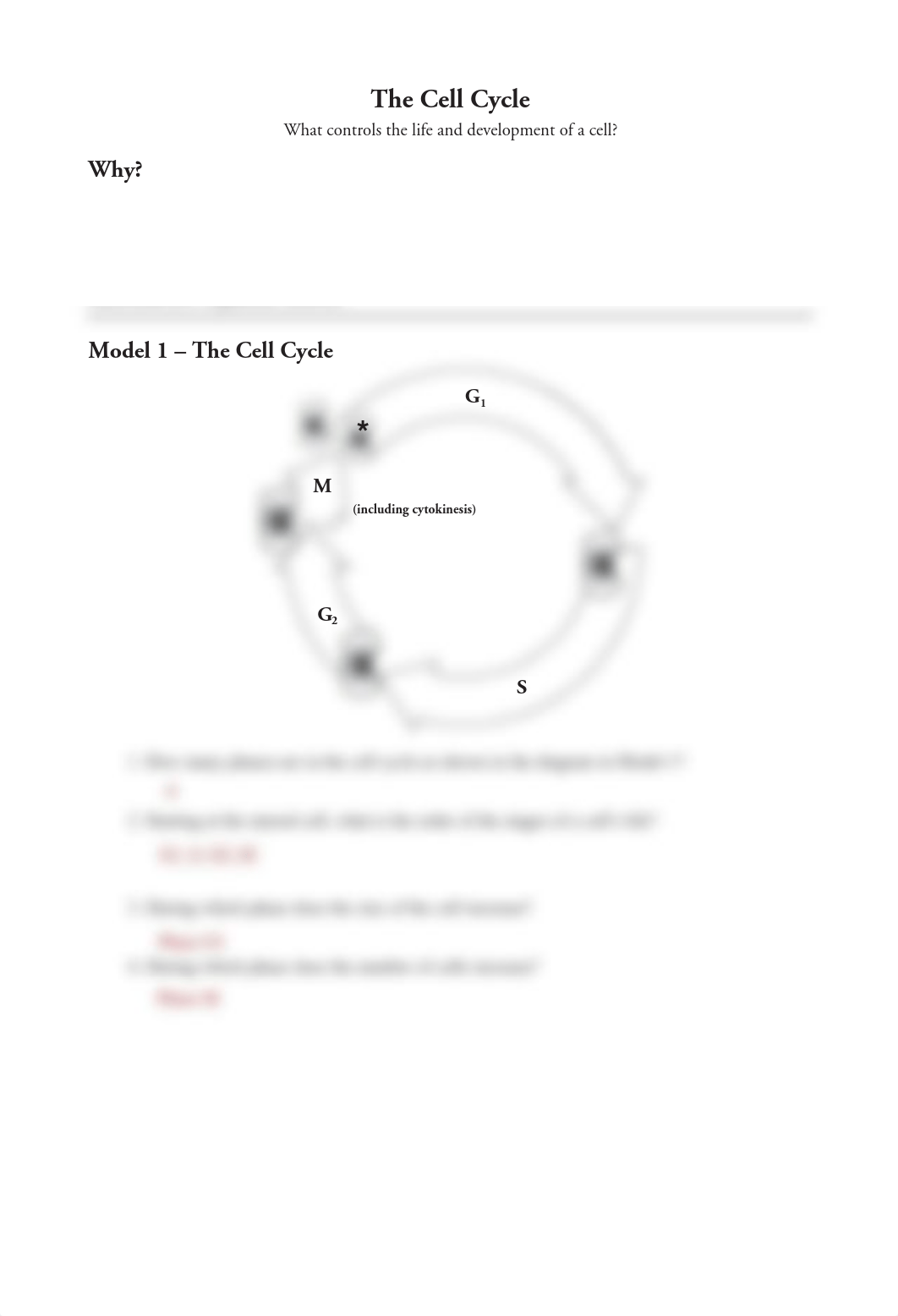 Abigail Schierhoff - Cell Cycle POGIL 1-2.pdf_dou78tzjxej_page1