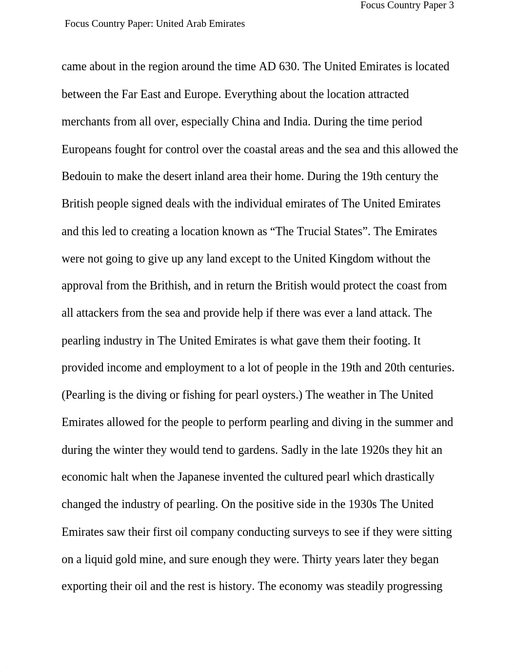 Focus Country Paper_ United Arab Emirates.docx_doubcfawqsb_page3