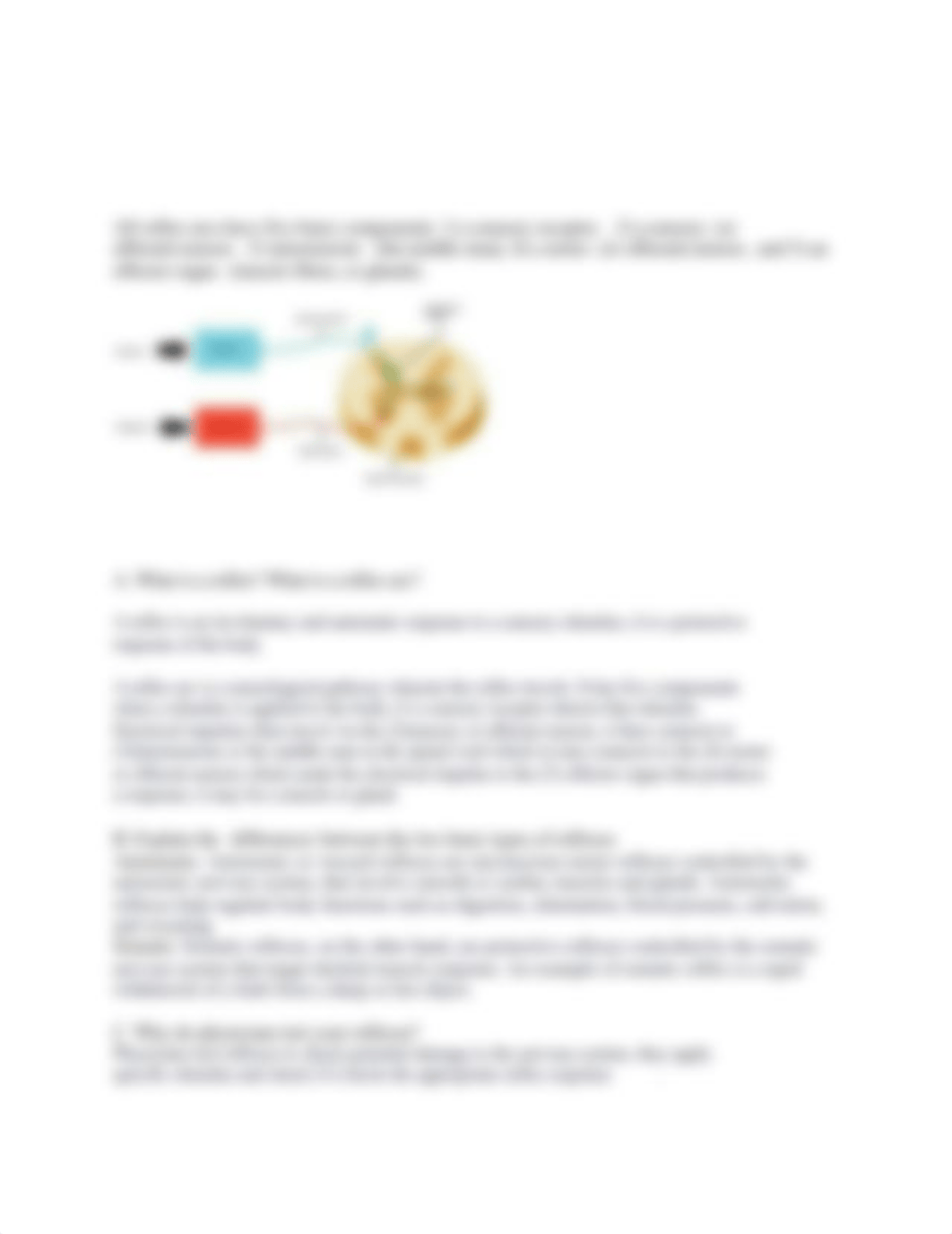 Lab on reflex arc.docx_doucq9wsyk7_page2