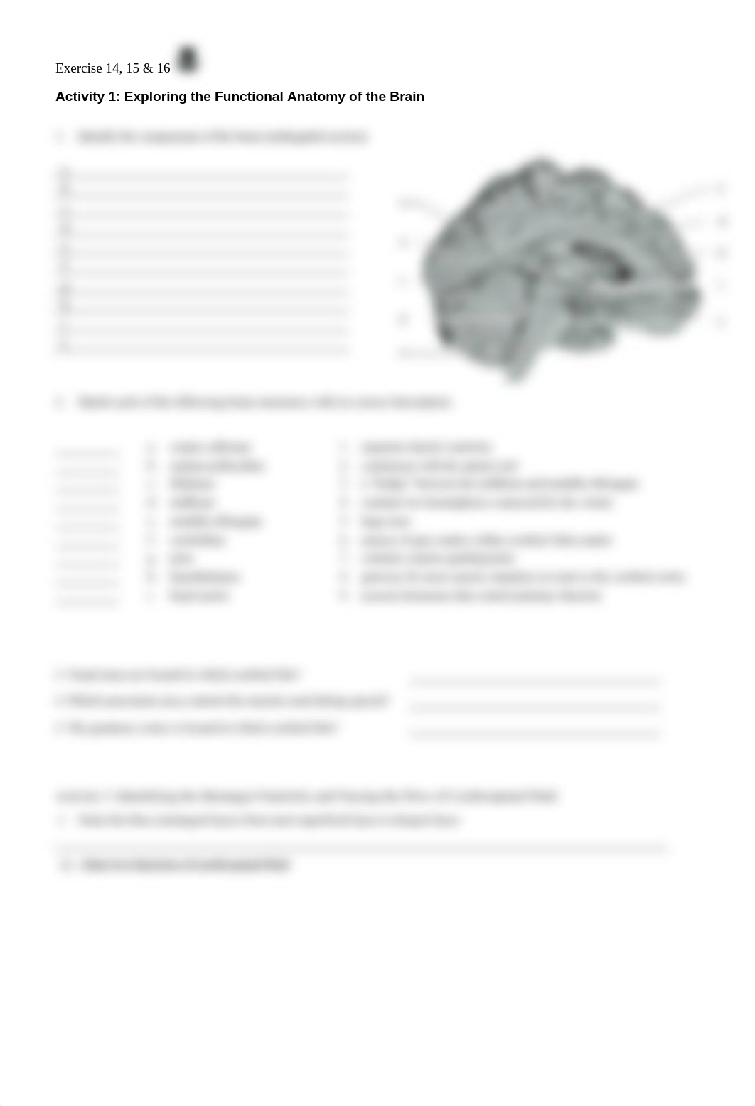 8. Unit 8 laboratory exercise 14 and 15 and 16.docx_doumg69ri9q_page3