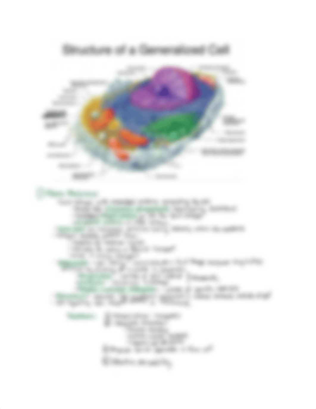 Histology Master Notes.pdf_doupyw7vfqz_page2