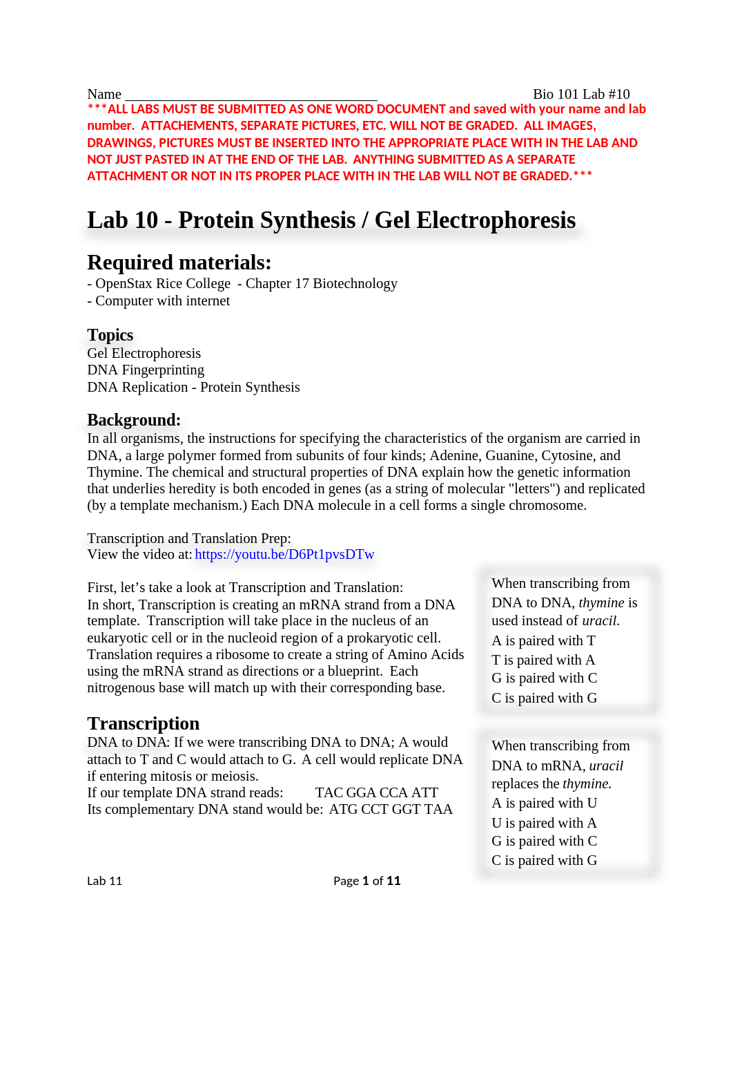 Lab 10  DNA.docx_dousprtyr1d_page1