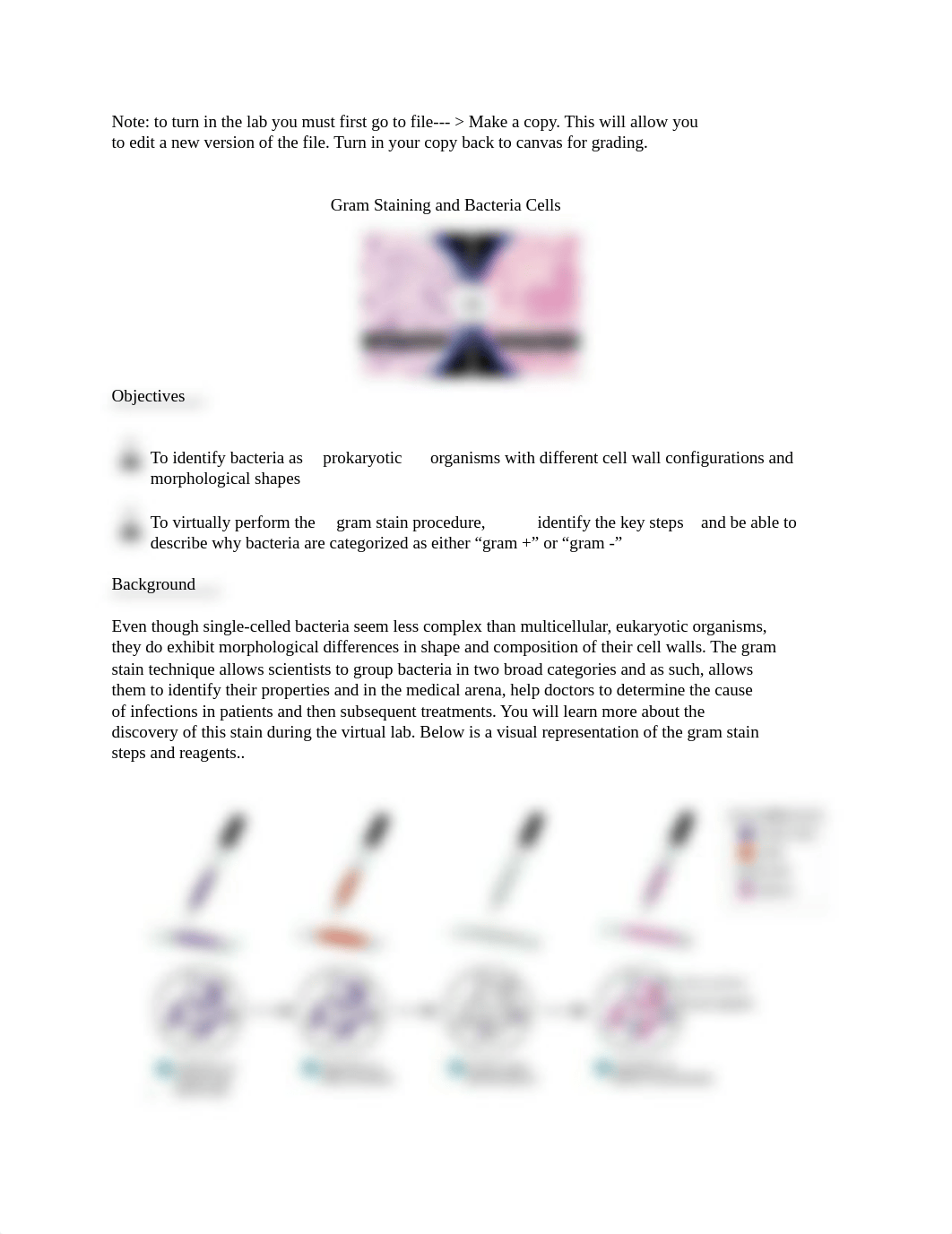 Gram Staining Microbiology Lab.pdf_douv6l532zc_page1