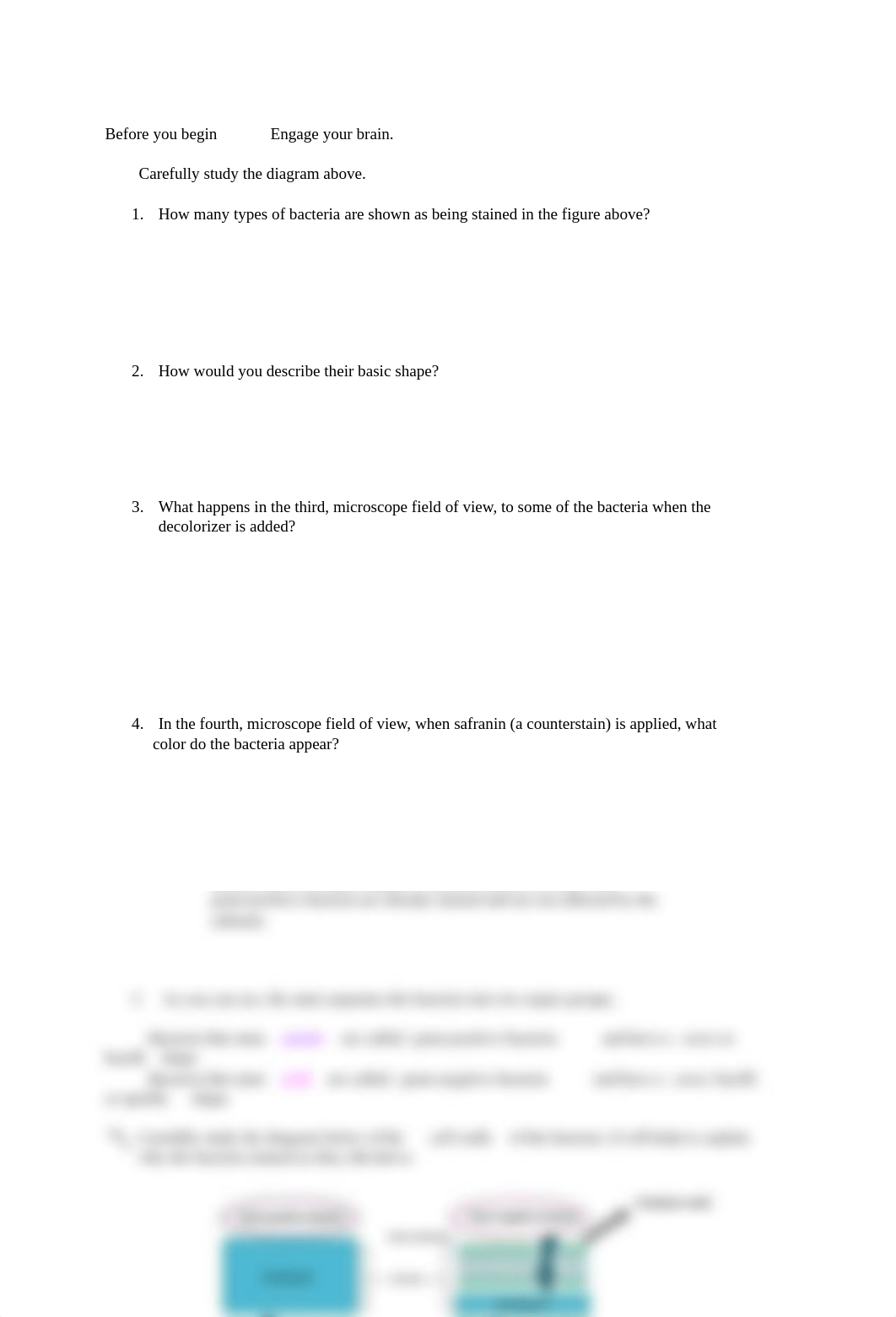 Gram Staining Microbiology Lab.pdf_douv6l532zc_page2