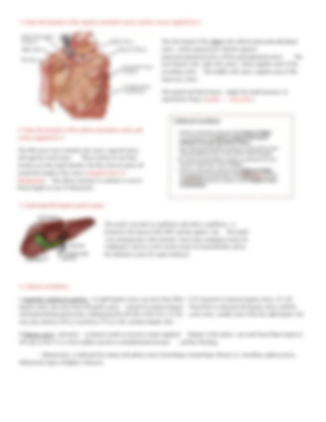 Clinical Anatomy of Abdominal Arteries.pdf_douyfwpdjtn_page2