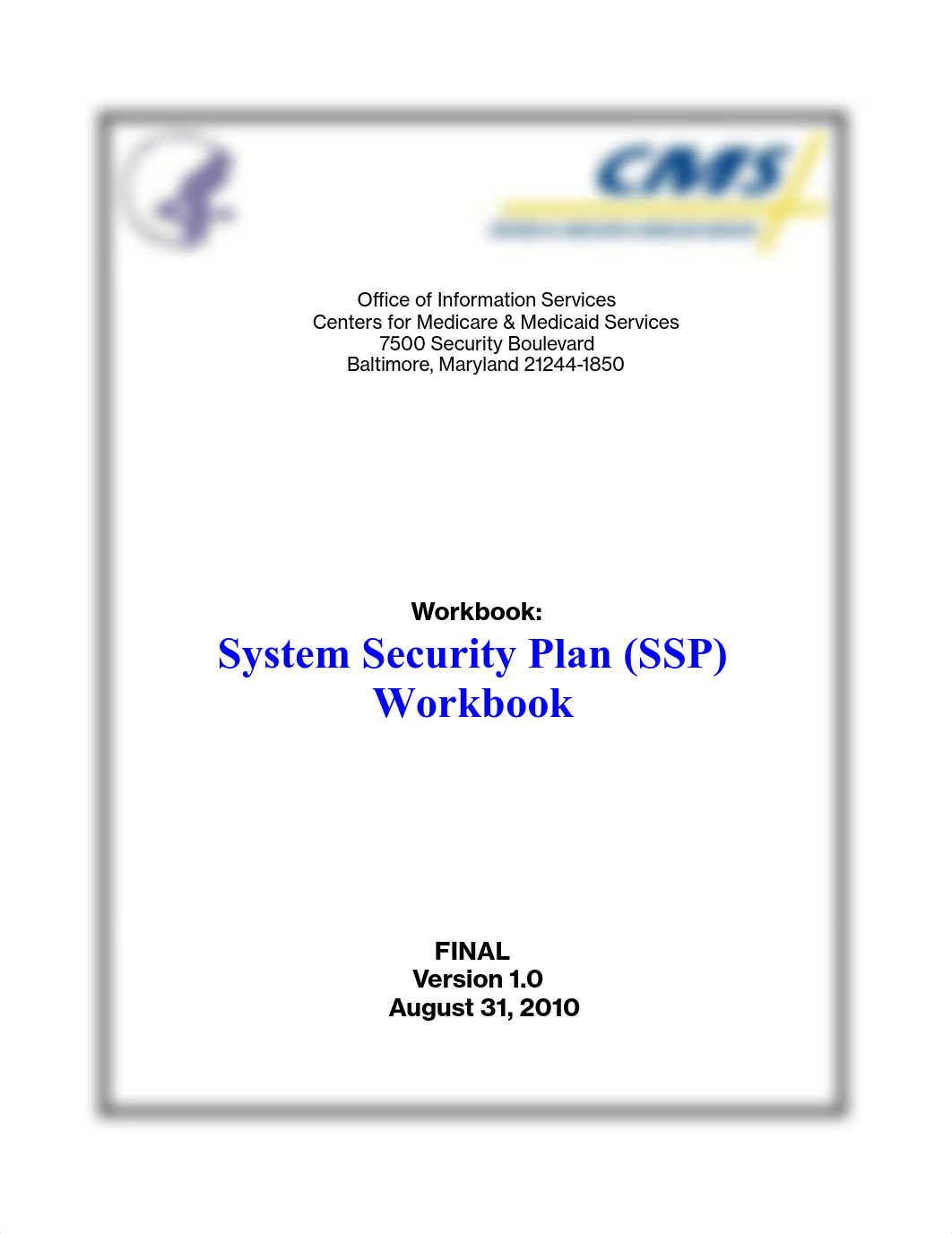 ssp_workbook_main.pdf_dov08dx8mte_page1