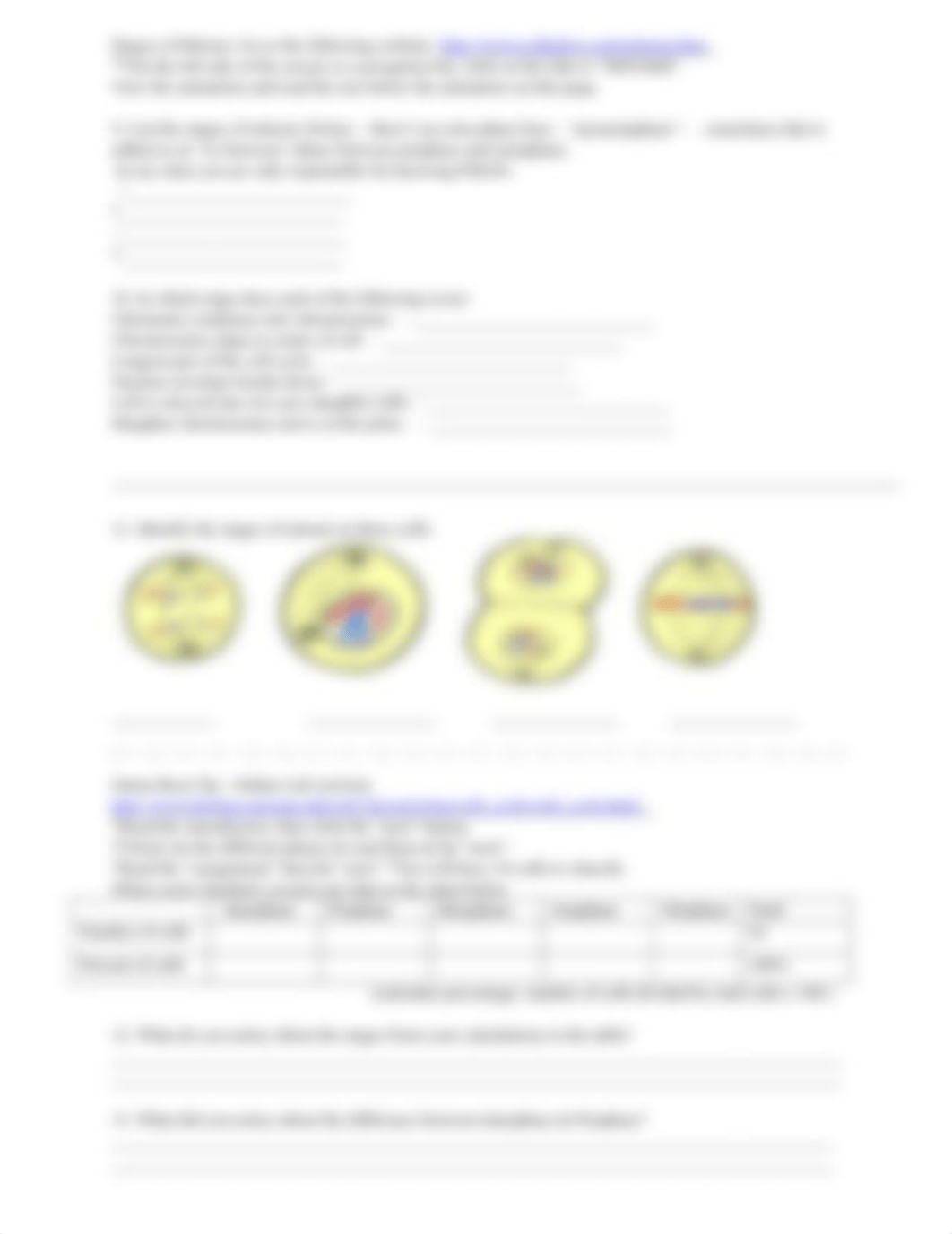 Cell Cycle and Mitosis Webquest - Eukaryote cell only.pdf_dov18tyf3dh_page2