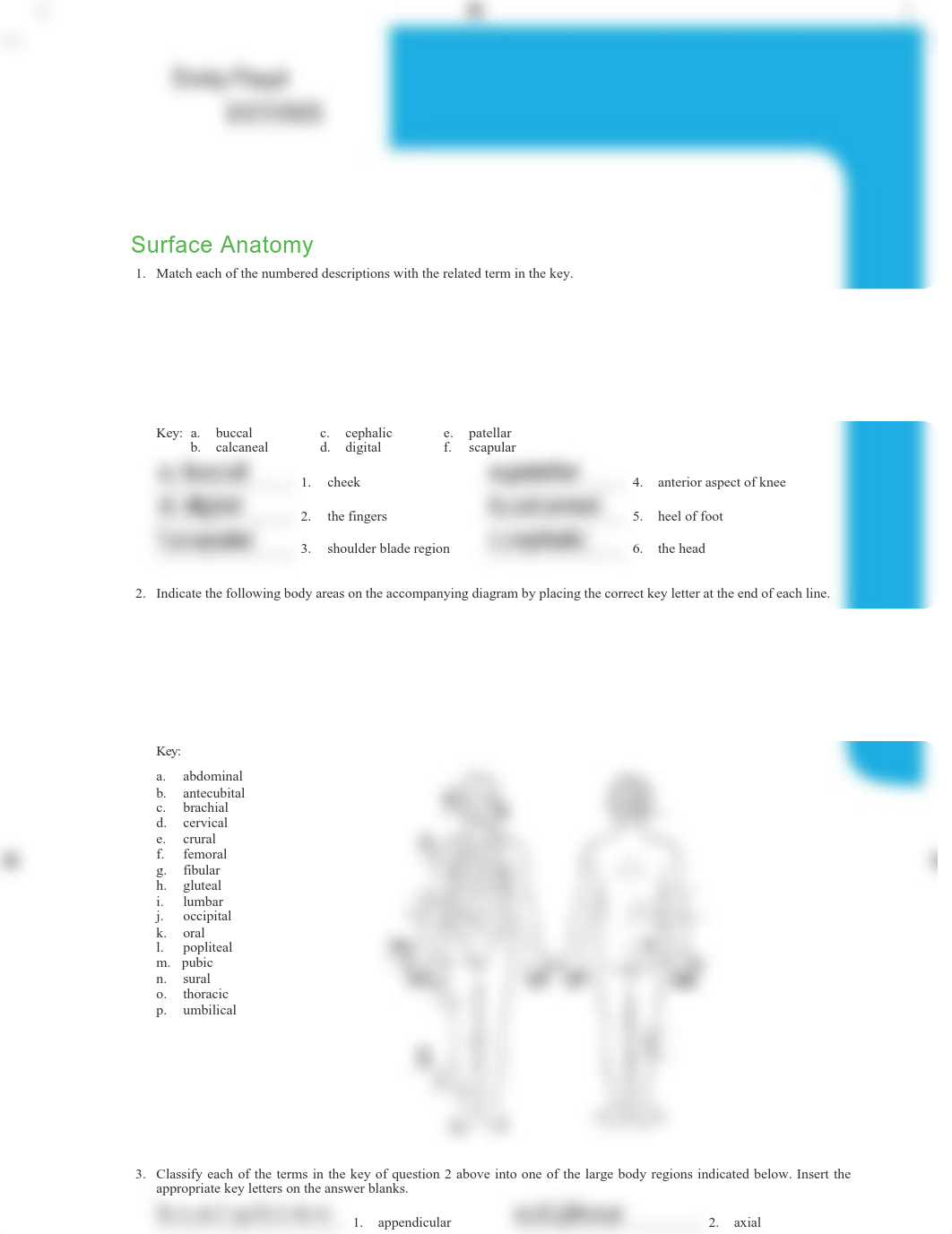 Lab 1- Language of Anatomy(1) - assignment.pdf_dov2my34h90_page1