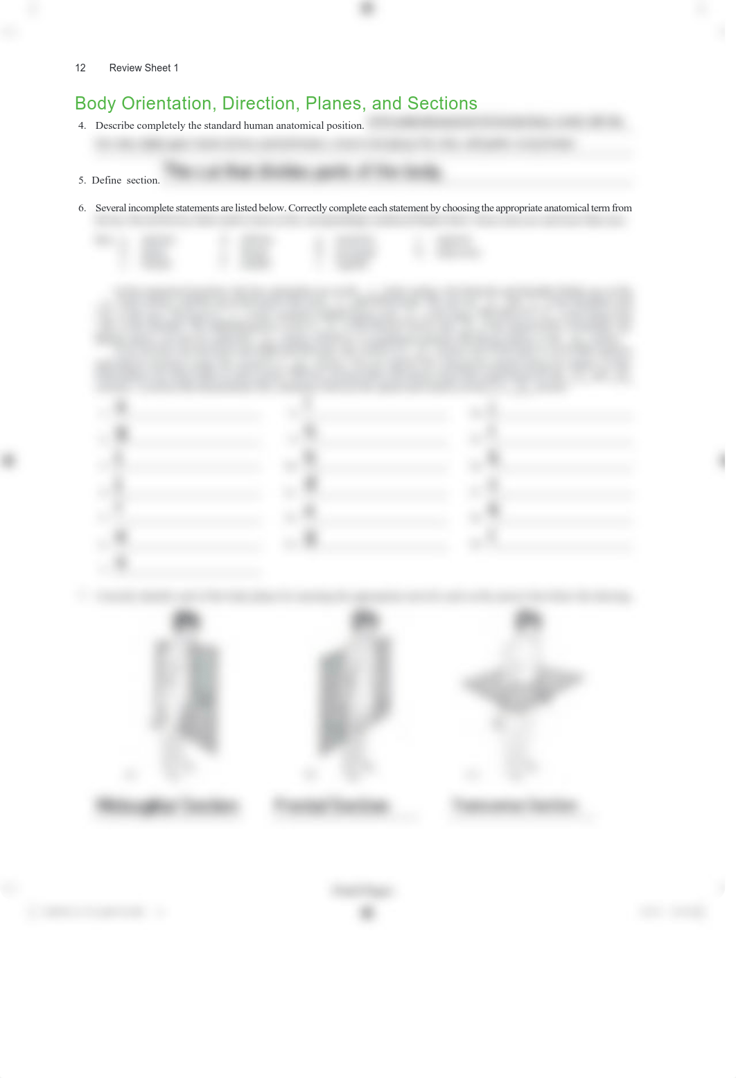 Lab 1- Language of Anatomy(1) - assignment.pdf_dov2my34h90_page2