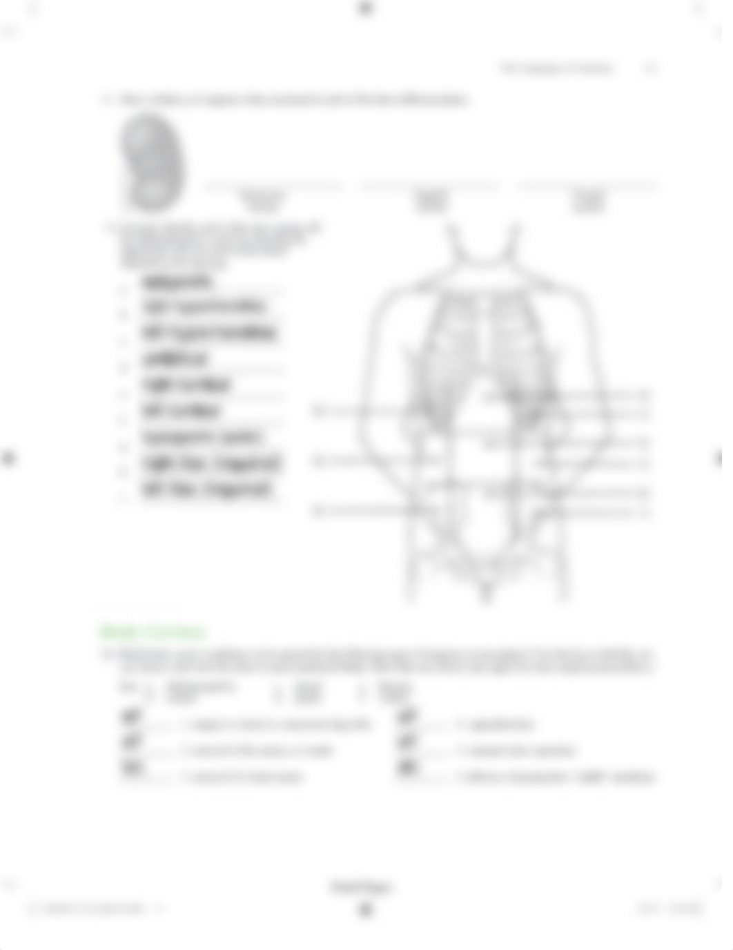 Lab 1- Language of Anatomy(1) - assignment.pdf_dov2my34h90_page3