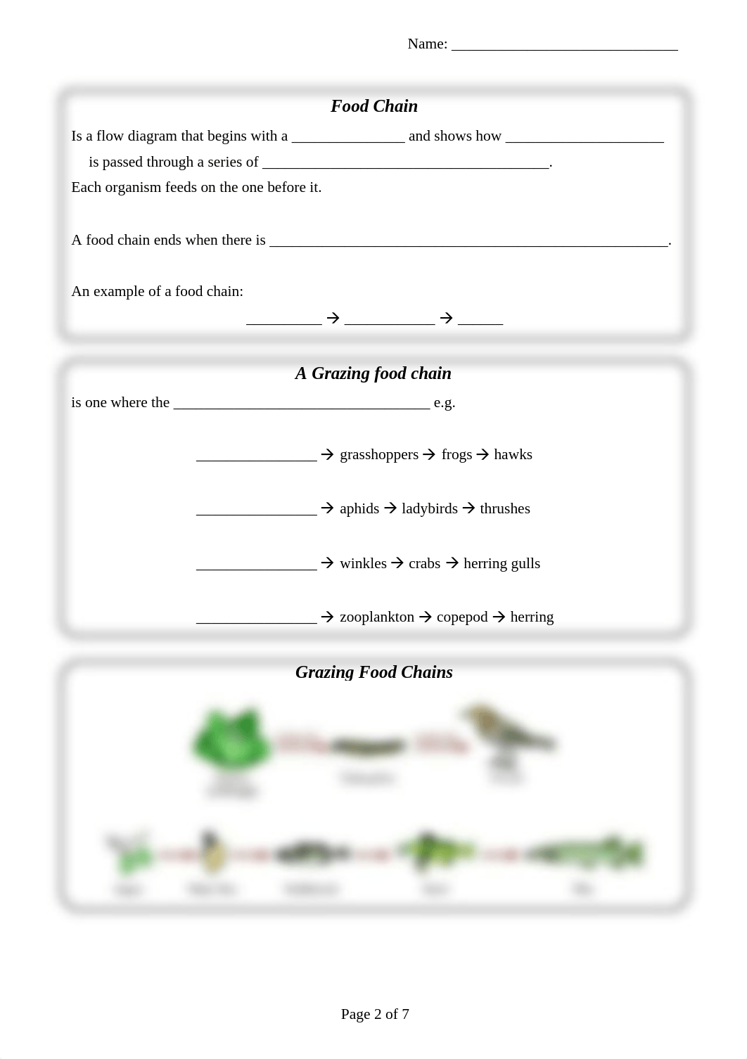 1.4.6 Energy Flow Worksheet (1).doc_dov2oz3euih_page2