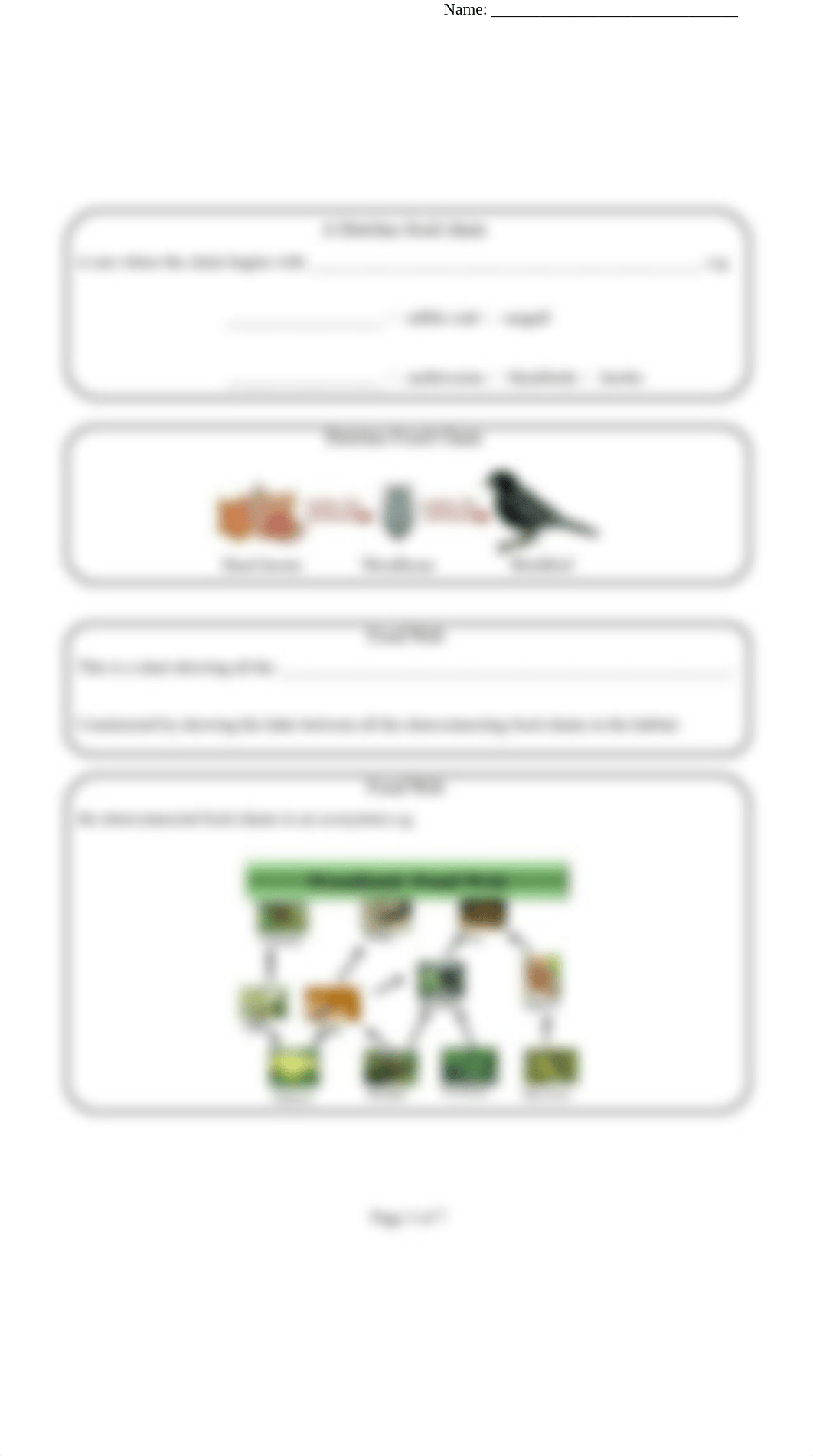 1.4.6 Energy Flow Worksheet (1).doc_dov2oz3euih_page3