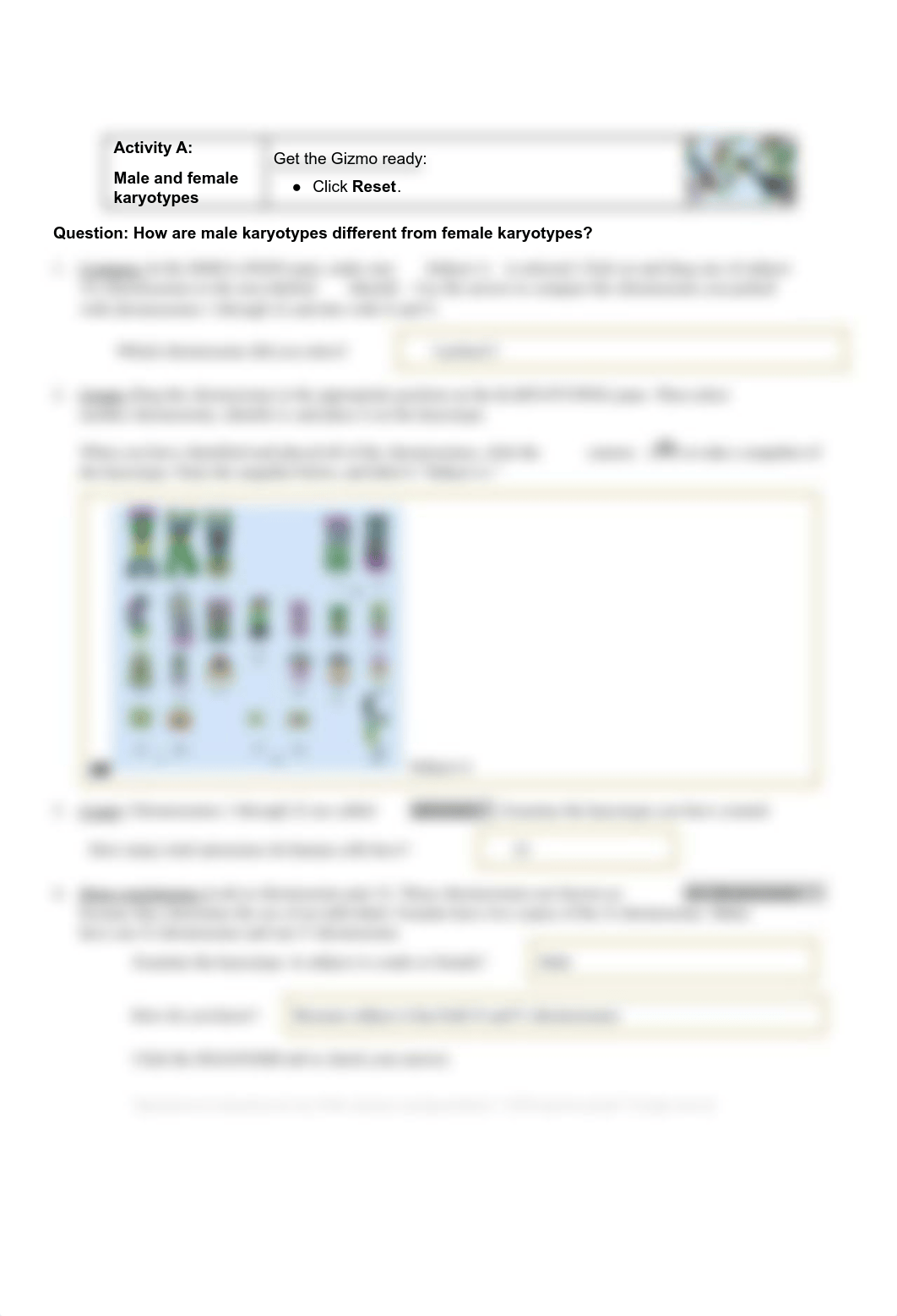 GRANT BRUNET - Gizmo_ Human Karyotyping.pdf_dov3ksrhae0_page2