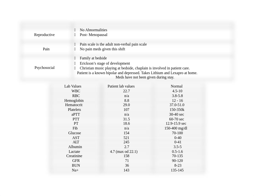 Critical Care Care Plan 2_dovavzmkcam_page4