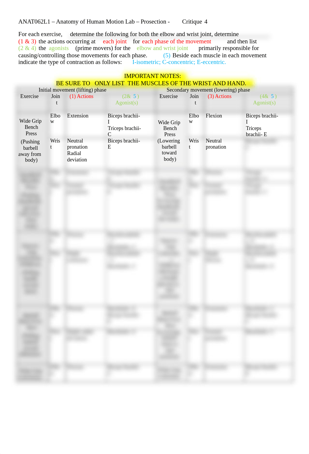 ANAT062L1-Critique4.docx_dovc6aak7bk_page1