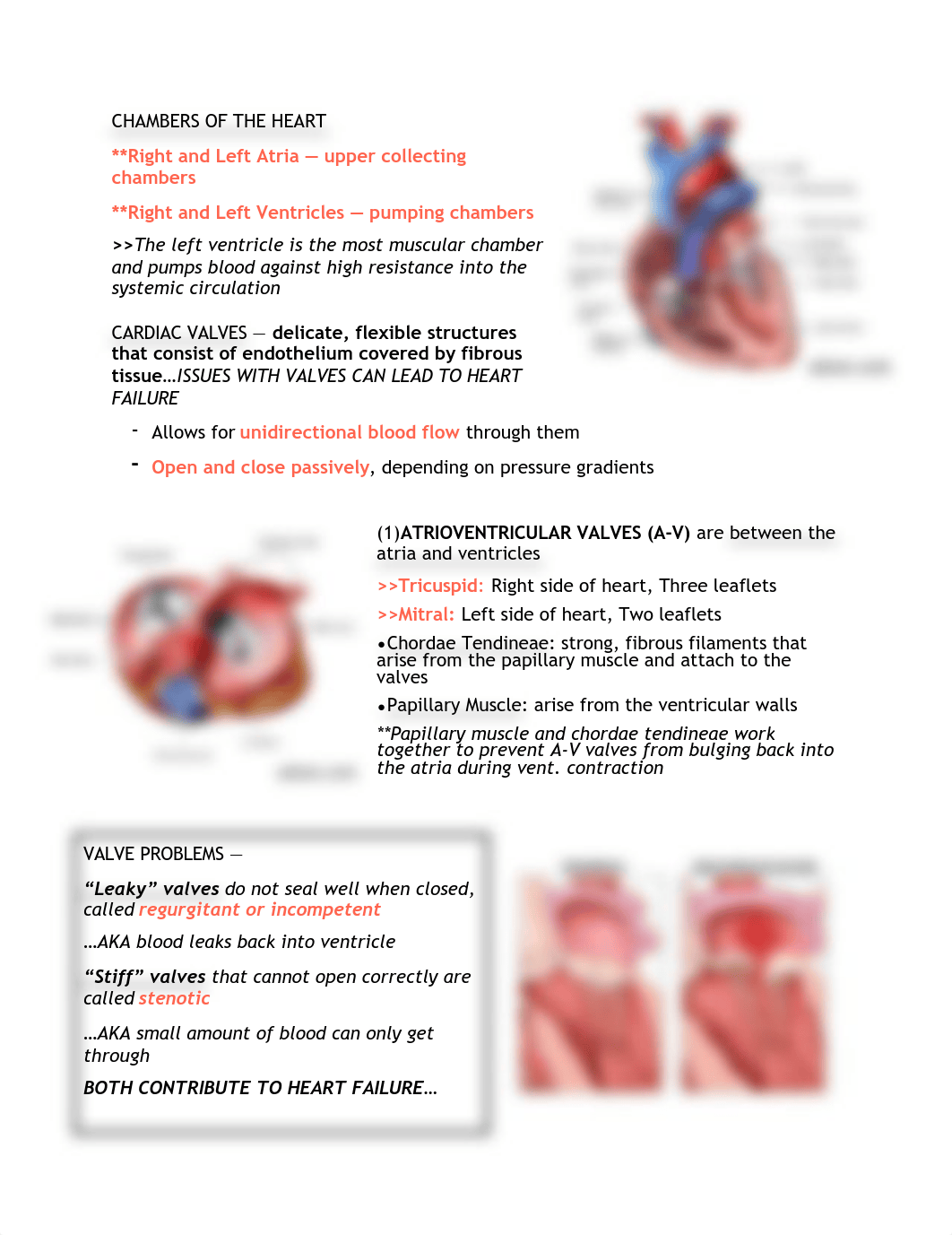 ADULT CARDIAC.pdf_dovf4epc6qv_page3